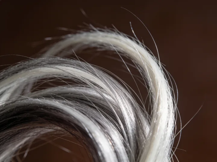 Mechas brancas e prateadas